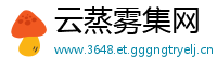 云蒸雾集网